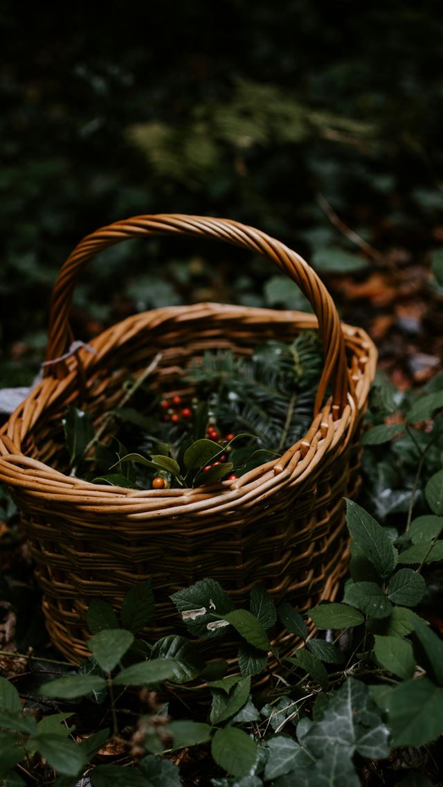 1290x2796 brown woven basket -  iPhone Wallpaper