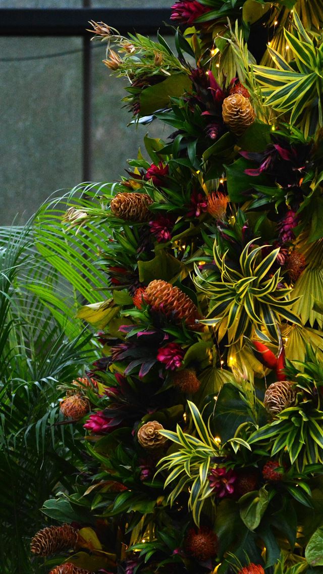 1290x2796 green Christmas tree -  iPhone Wallpaper