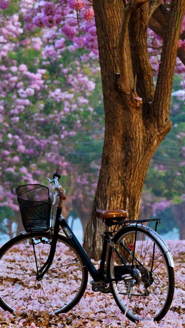 1125x2436 spring -  iPhone Wallpaper