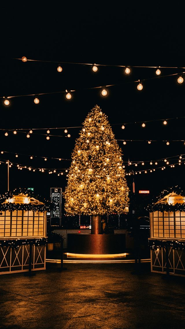 1290x2796 christmas tree with string lights turned on during... -  iPhone Wallpaper