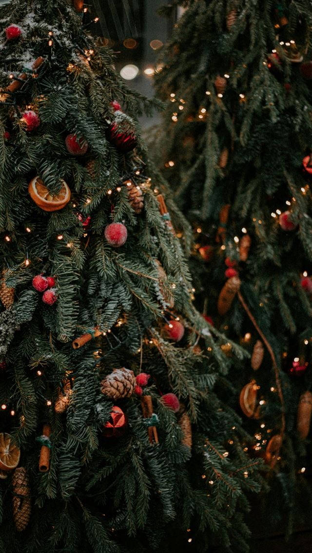 1290x2796 green christmas tree with red and gold baubles -  iPhone Wallpaper