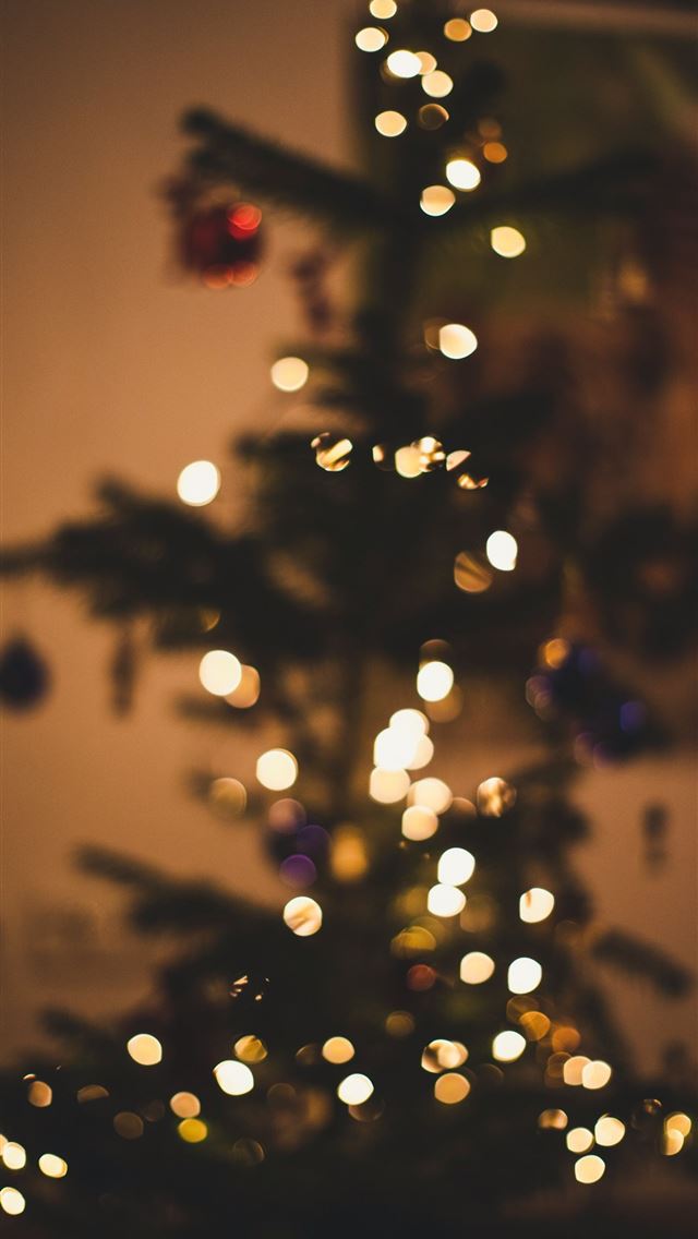 1290x2796 a small christmas tree is lit up in the dark -  iPhone Wallpaper