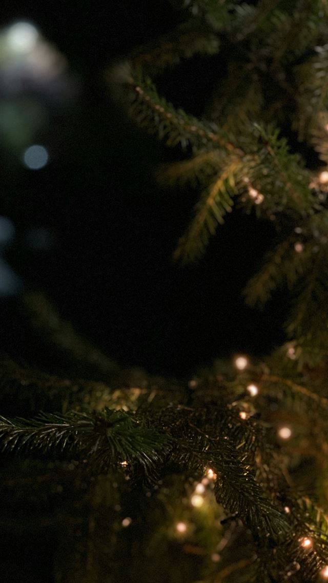 1290x2796 pine plant with string lights -  iPhone Wallpaper