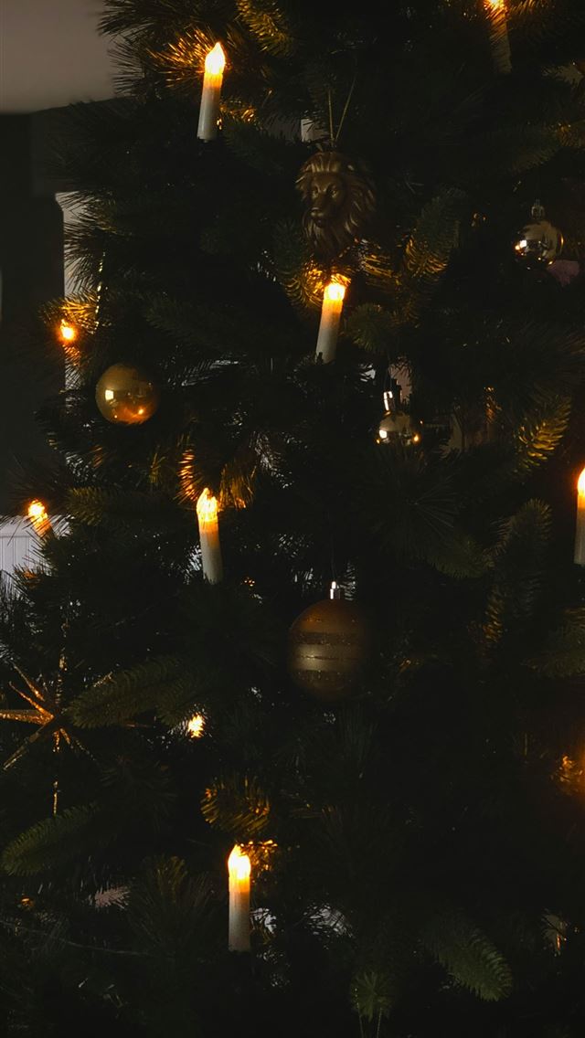 1290x2796 a lit christmas tree in a living room -  iPhone Wallpaper