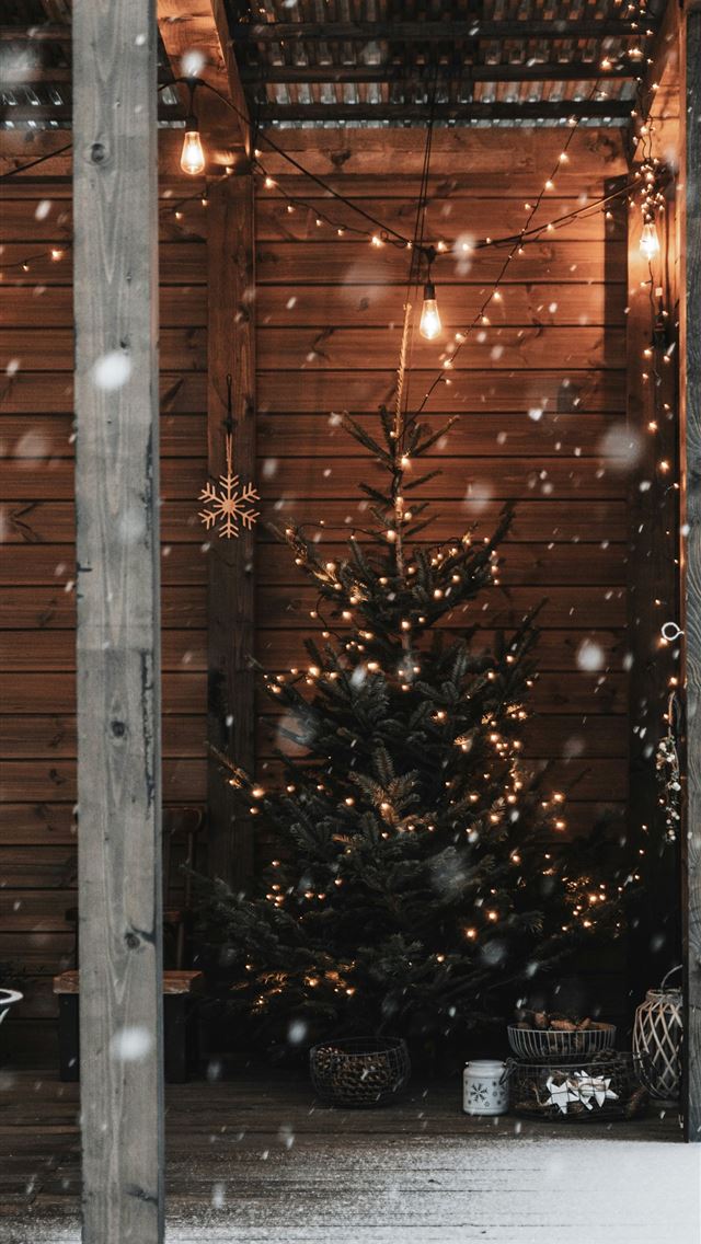 1290x2796 a small christmas tree in the corner of a porch -  iPhone Wallpaper