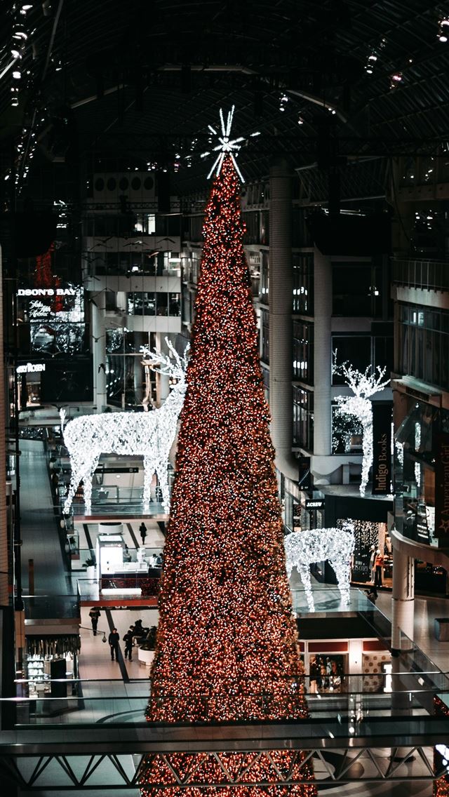 1290x2796 Christmas tree between buildings -  iPhone Wallpaper