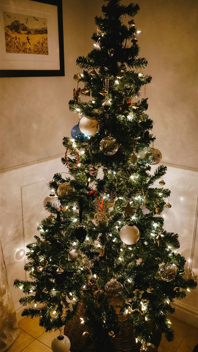 1290x2796 Christmas tree -  iPhone Wallpaper