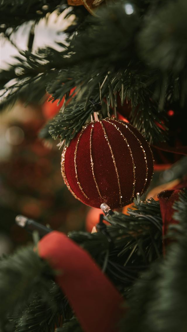 1290x2796 a pine tree with a red and white ball from it -  iPhone Wallpaper