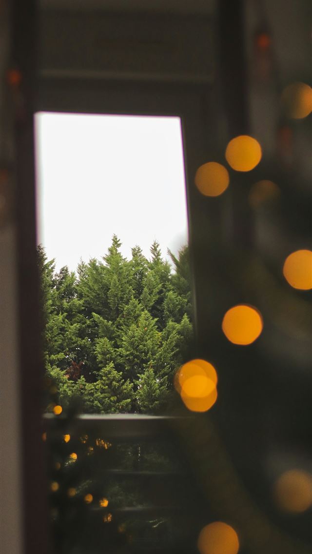 1290x2796 bokeh photography of opened window -  iPhone Wallpaper