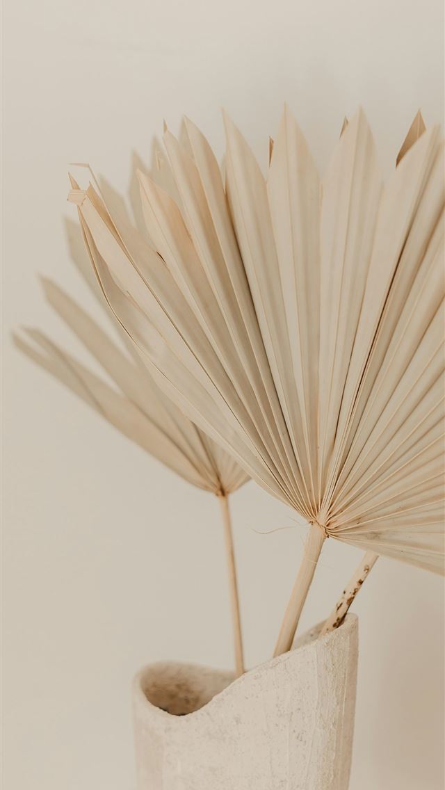 1290x2796 white umbrella on brown wooden table -  iPhone Wallpaper