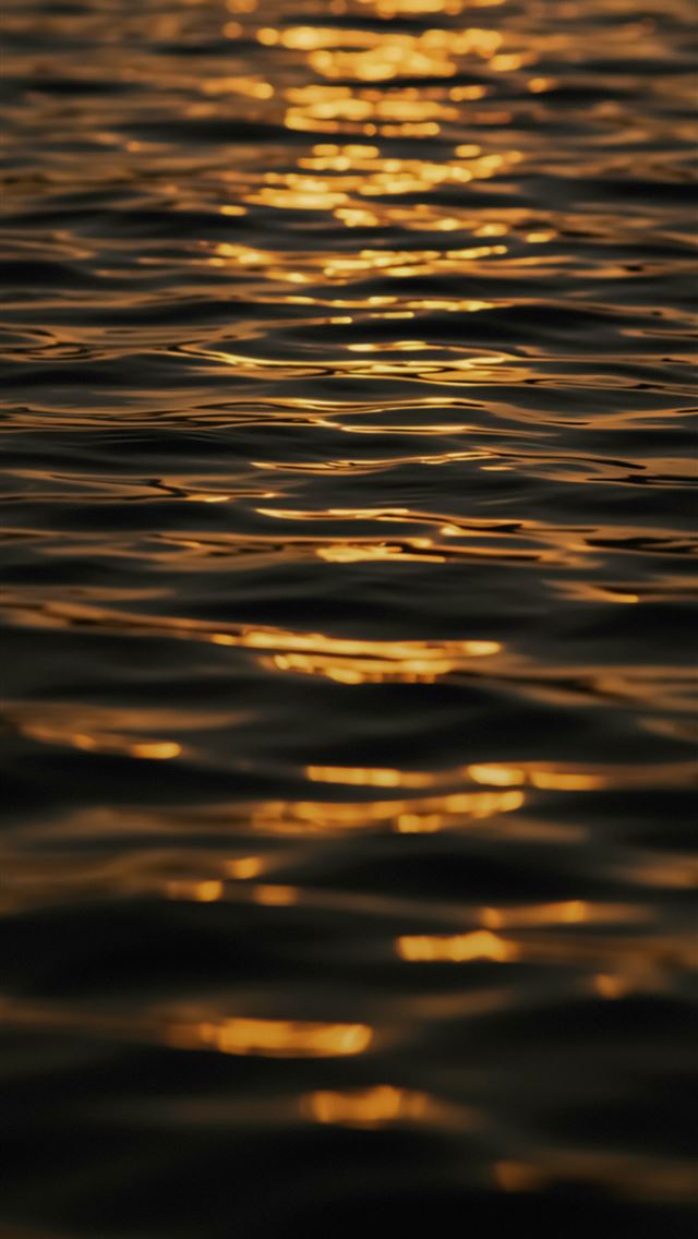 1290x2796 Golden sunlight reflects on rippling water  -  iPhone Wallpaper