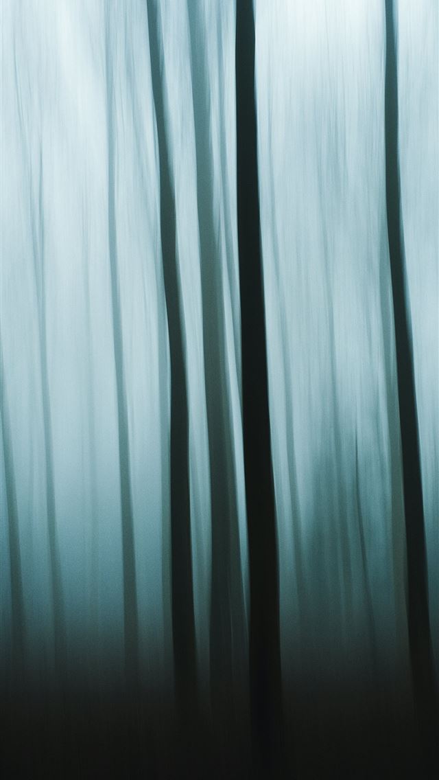 1290x2796 Blurred image of trees in a mysterious forest  -  iPhone Wallpaper