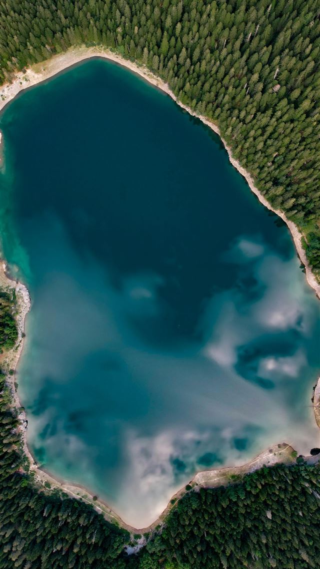 1290x2796 Aerial view of a beautiful lake surrounded by tree... -  iPhone Wallpaper