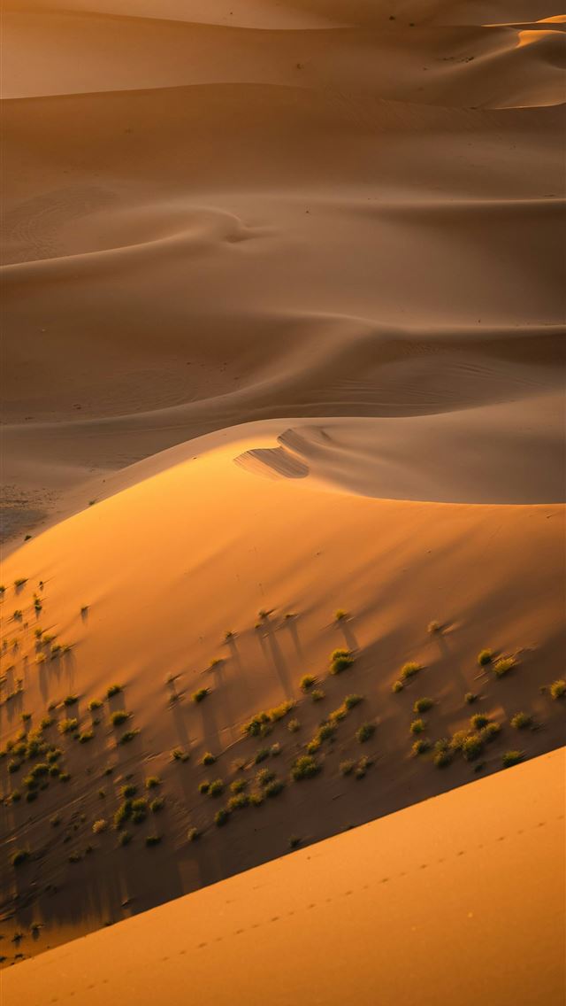 1290x2796 Golden sunlight bathes the vast desert sand dunes  -  iPhone Wallpaper