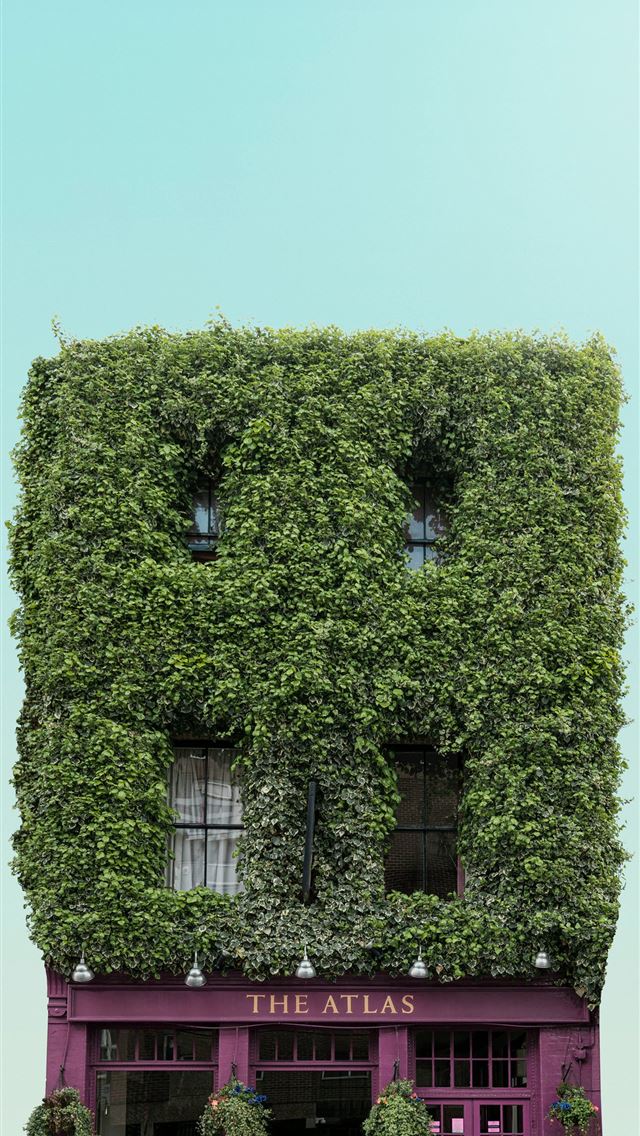 1290x2796 a tall building covered in vines and plants -  iPhone Wallpaper