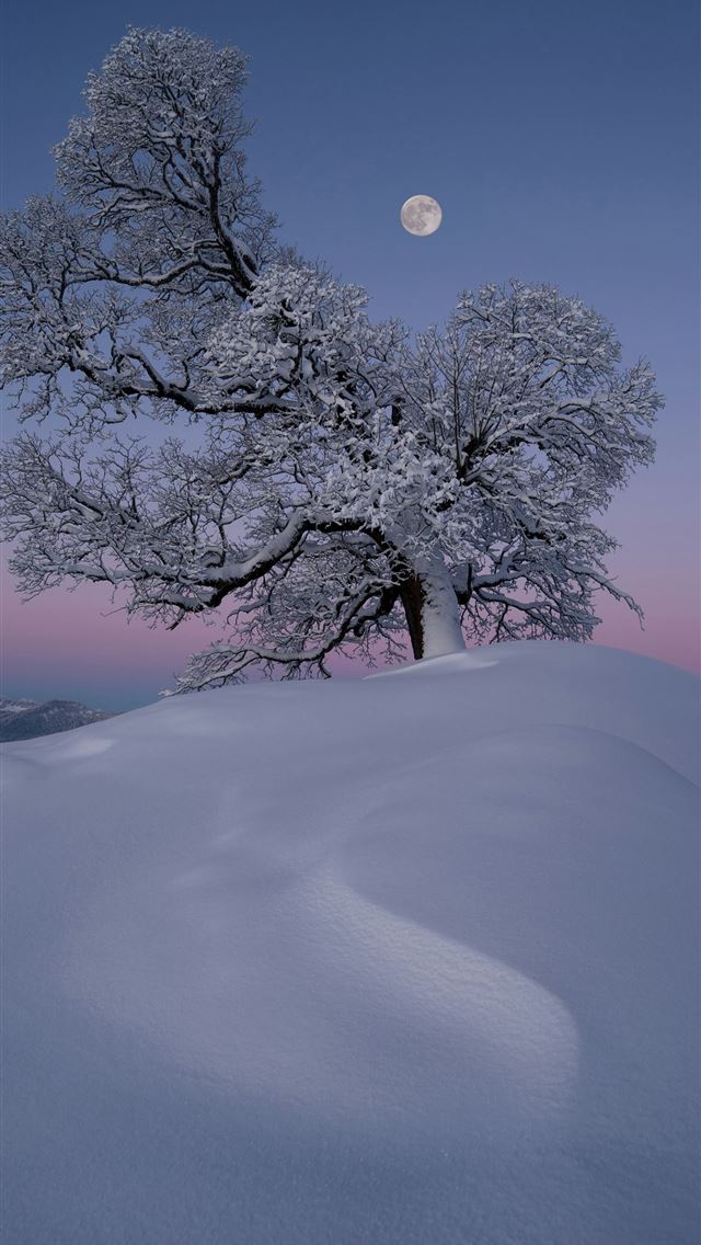 1290x2796 A full moon rises over a snowy landscape -  iPhone Wallpaper