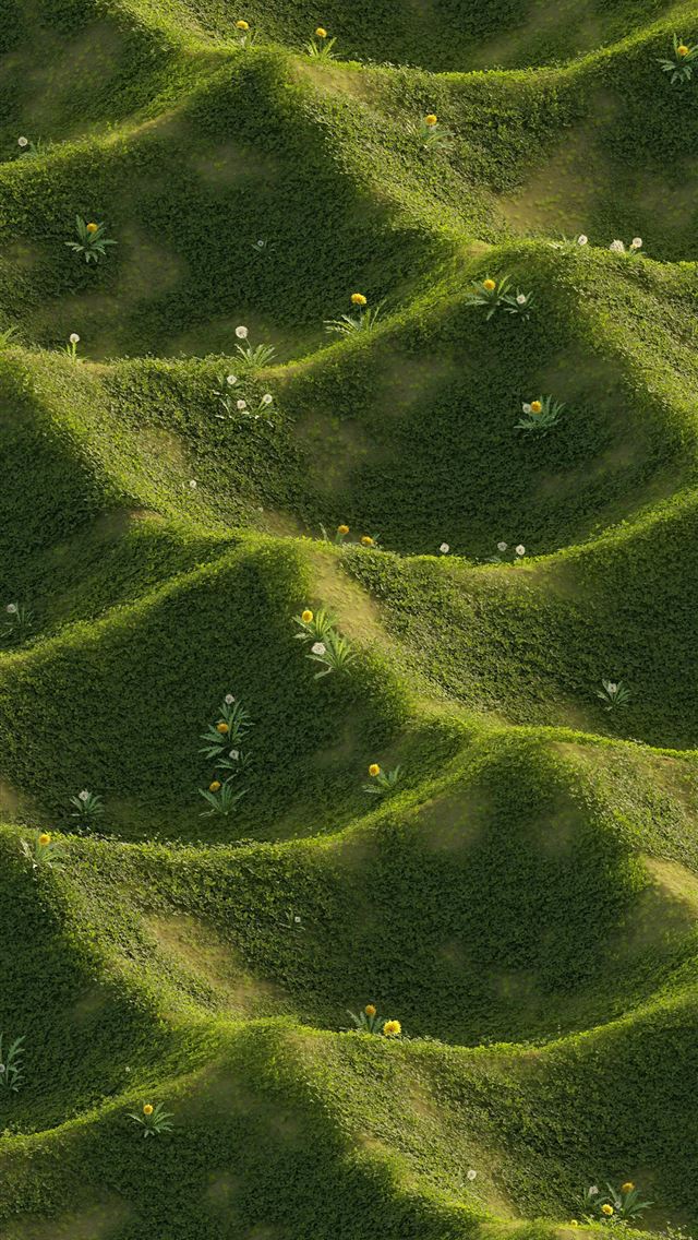 1290x2796 Wavy grassy hills with wildflowers spread across t... -  iPhone Wallpaper