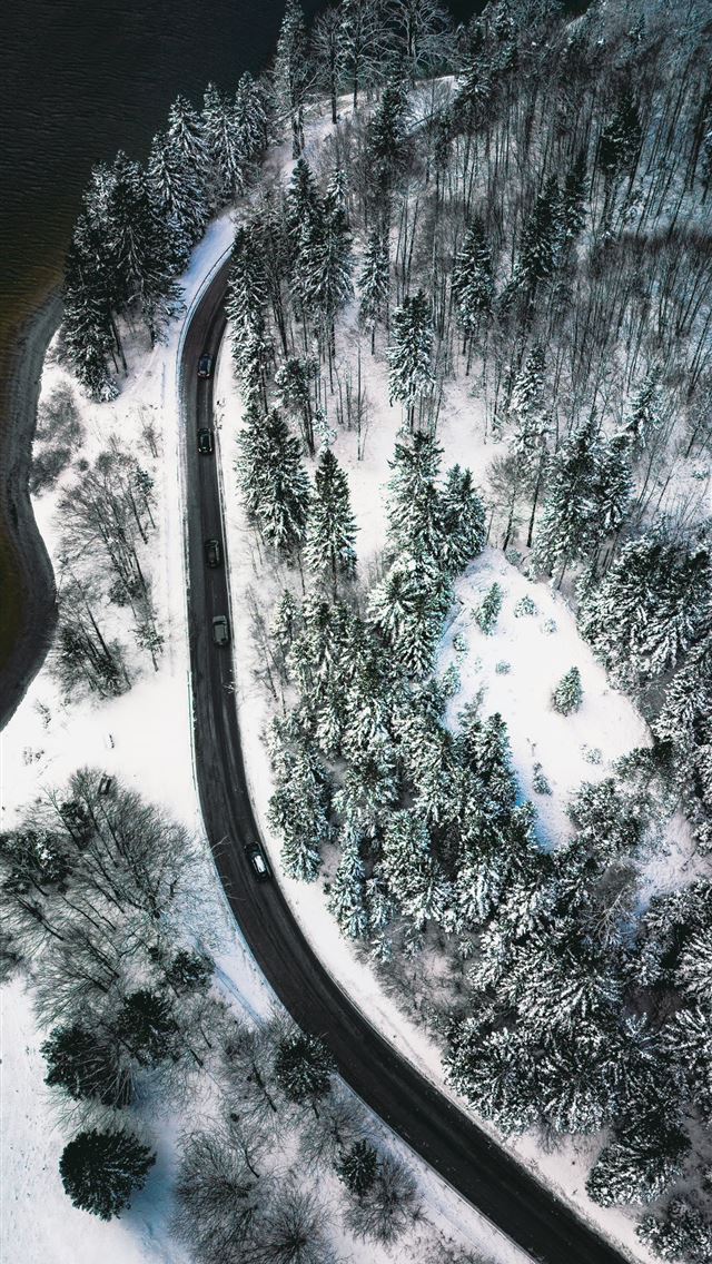 1290x2796 An aerial view of a snow covered forest -  iPhone Wallpaper