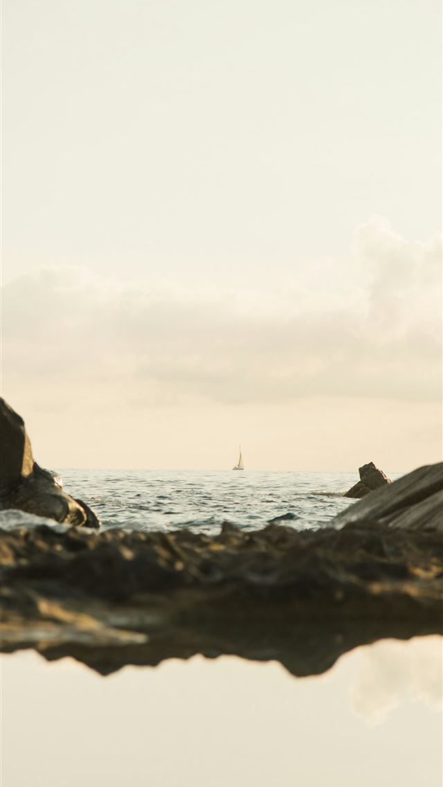1290x2796 A couple of elephants standing on top of a body of... -  iPhone Wallpaper