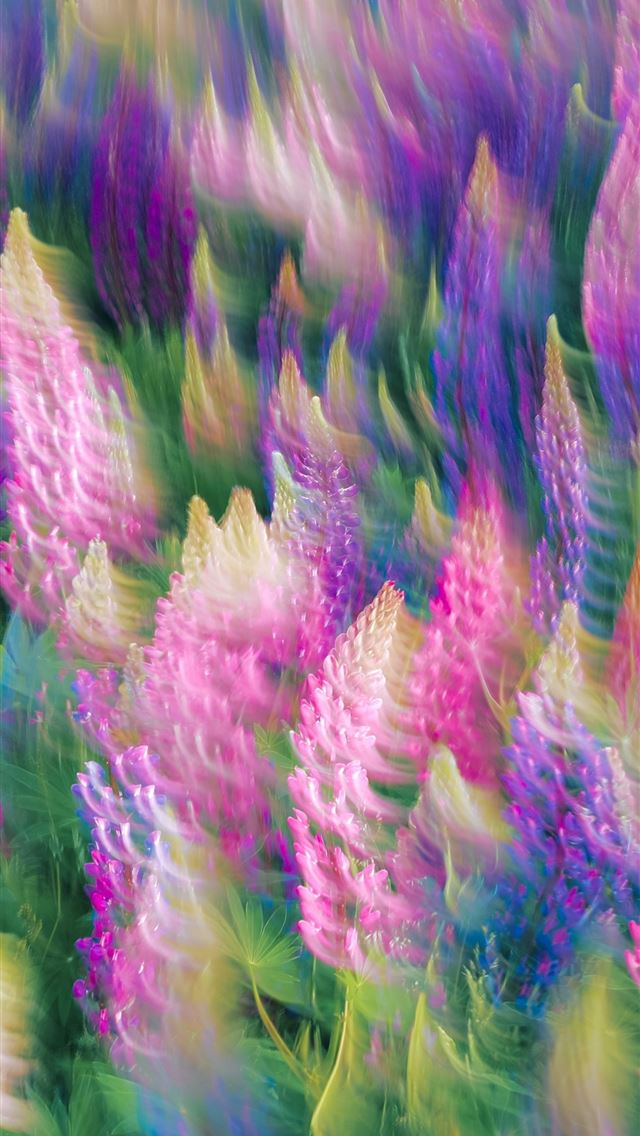 1290x2796 A blurry photo of a field of flowers -  iPhone Wallpaper