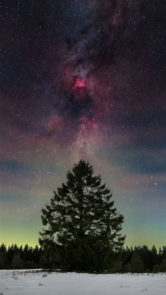 1290x2796 A lone tree in a snowy field under a night sky fil... -  iPhone Wallpaper