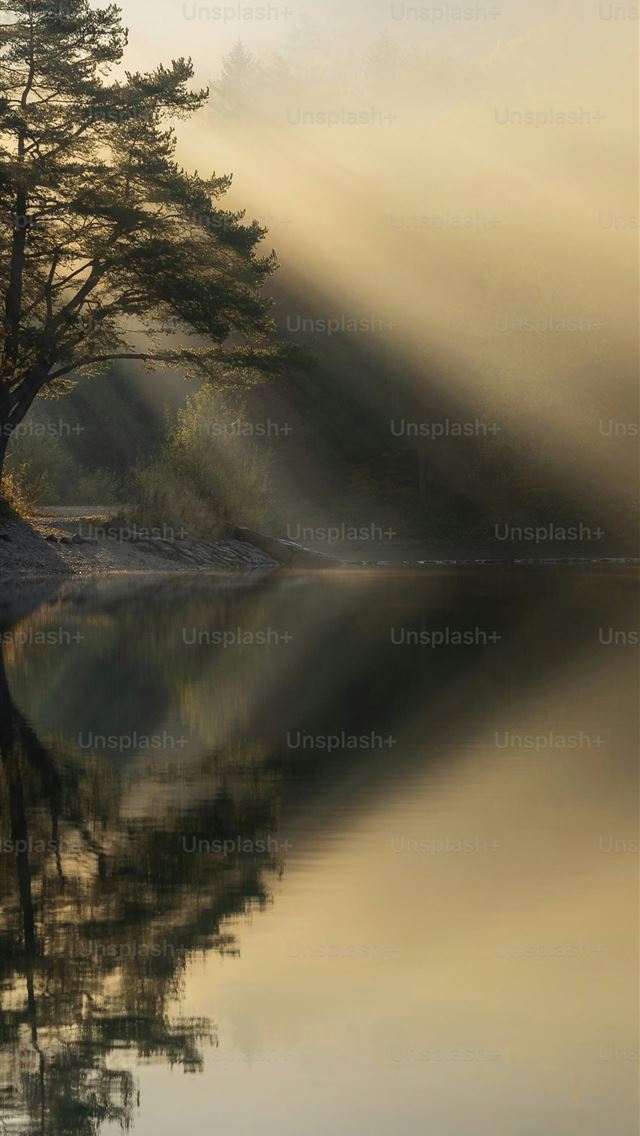 1290x2796 a body of water surrounded by trees and fog -  iPhone Wallpaper