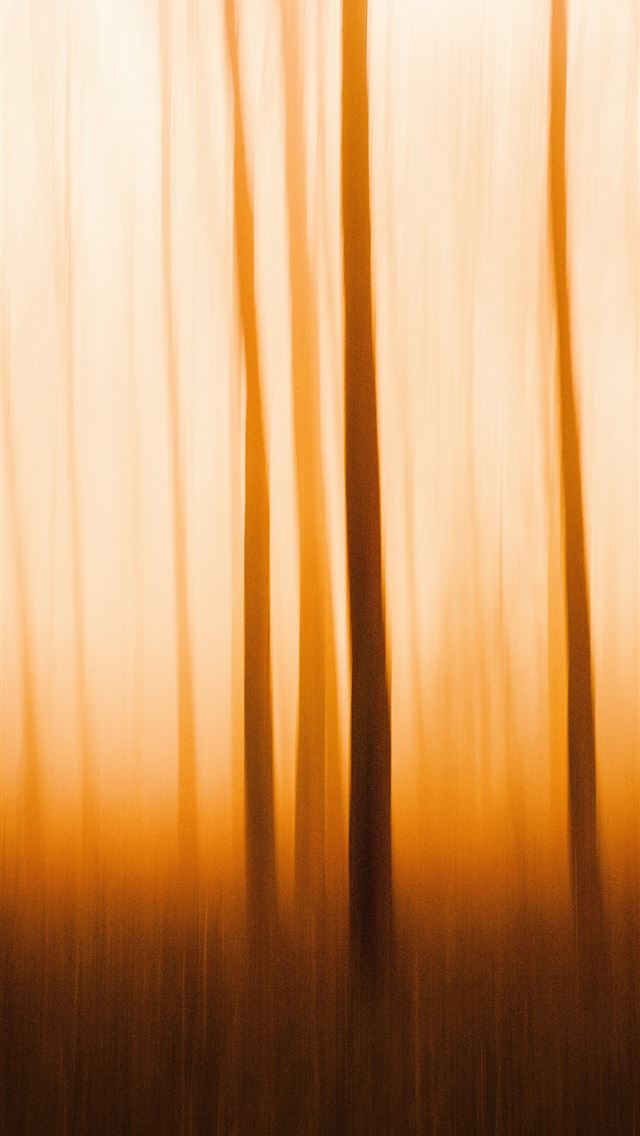 640x1136 A blurry photo of trees in a forest -  iPhone Wallpaper