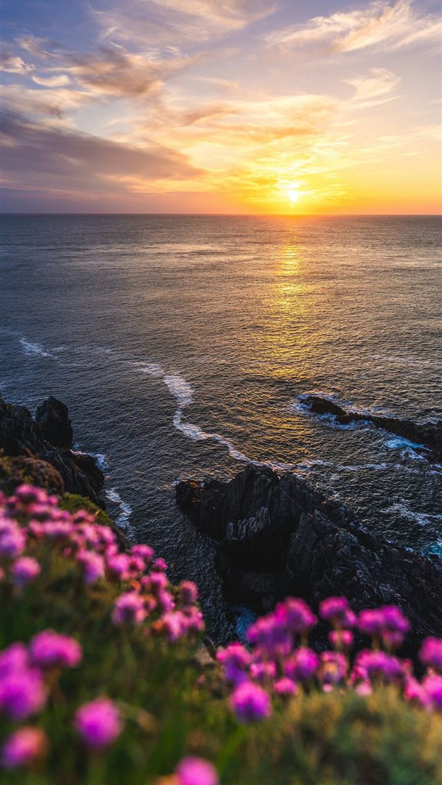1290x2796 A beautiful sunset over the ocean with wildflowers -  iPhone Wallpaper