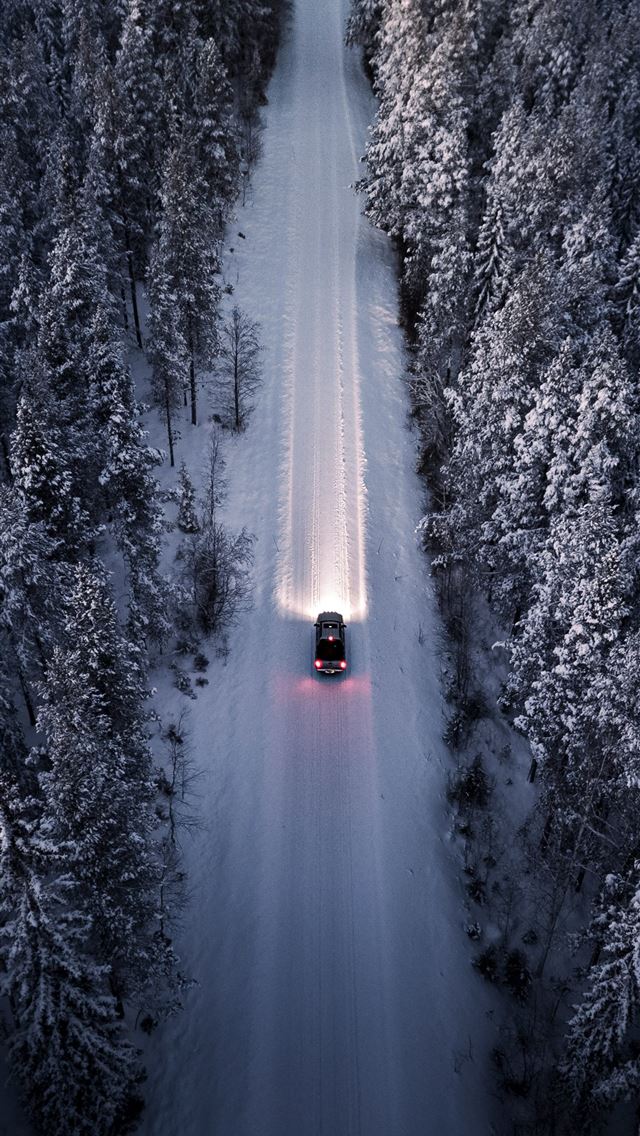 1290x2796 A car driving down a road in the middle of a fores... -  iPhone Wallpaper
