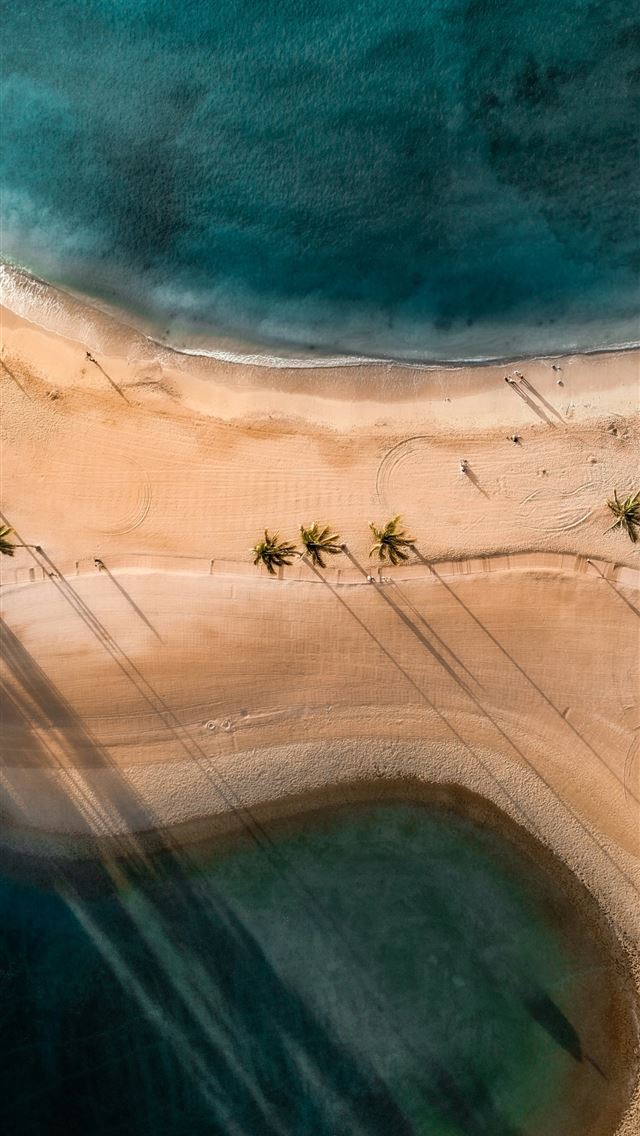 640x1136 An aerial view of a sandy beach with palm trees -  iPhone Wallpaper