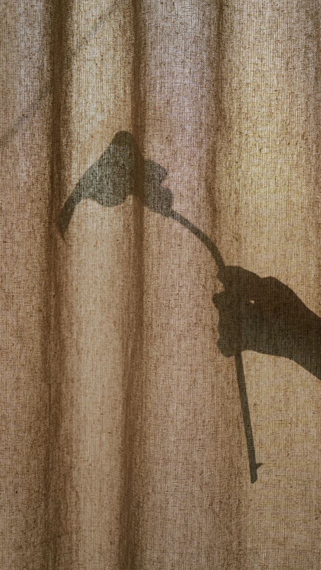 640x1136 Shadow of a hand holding a flower  -  iPhone Wallpaper