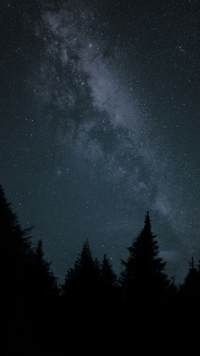 640x1136 The night sky with a lot of stars and trees -  iPhone Wallpaper