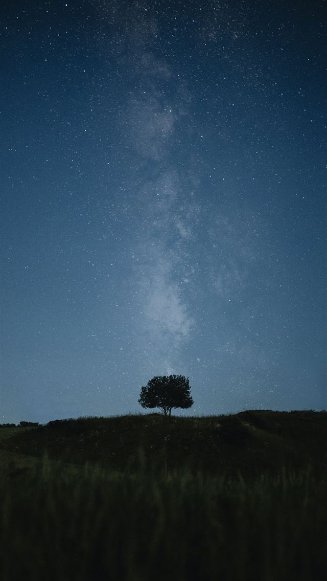 1290x2796 A lone tree in a grassy field under a night sky -  iPhone Wallpaper