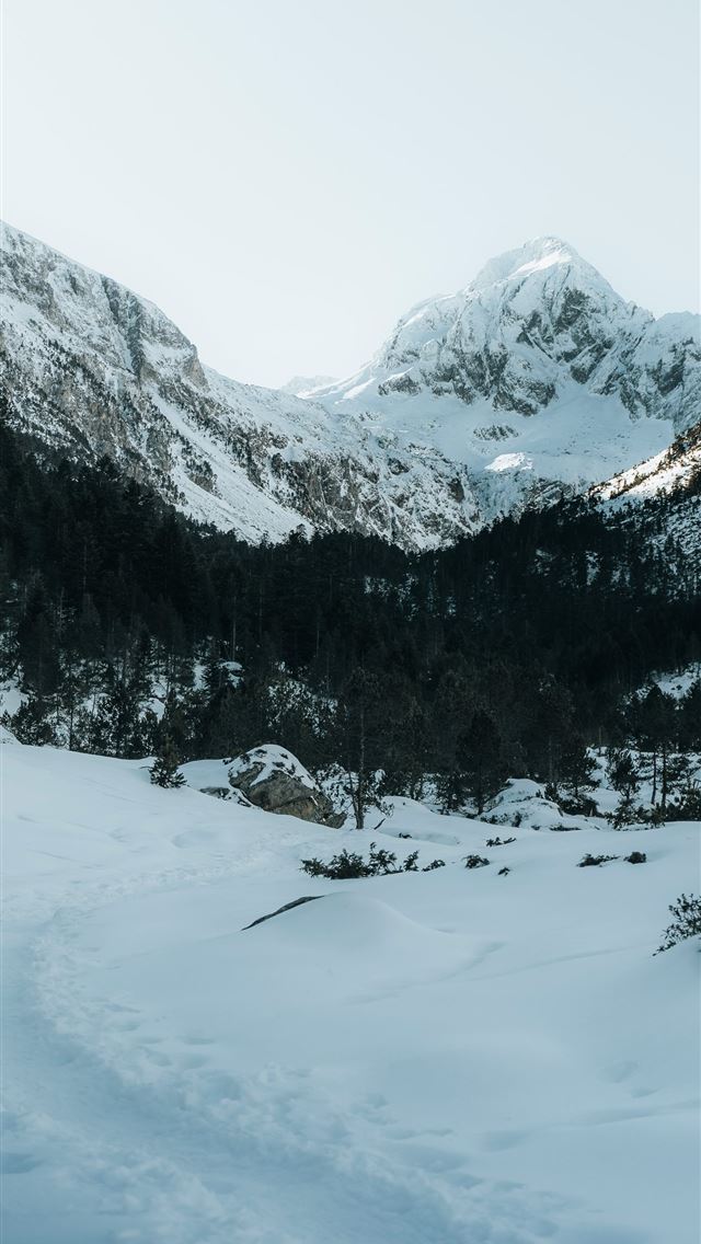 1290x2796 A man riding skis down a snow covered slope -  iPhone Wallpaper