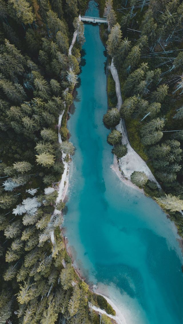 1290x2796 An aerial view of a river running through a forest -  iPhone Wallpaper