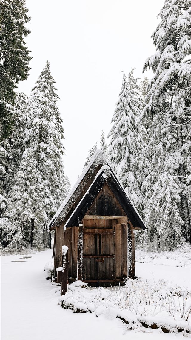 1290x2796 A cabin in the middle of a snowy forest -  iPhone Wallpaper