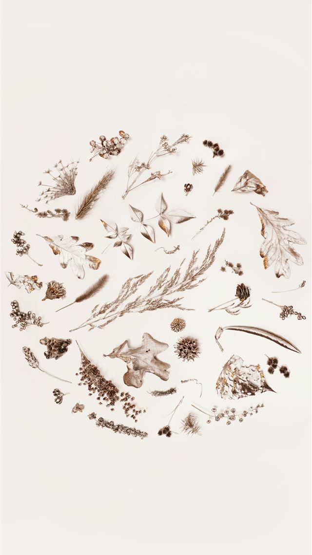 1290x2796 A white plate topped with lots of different types ... -  iPhone Wallpaper