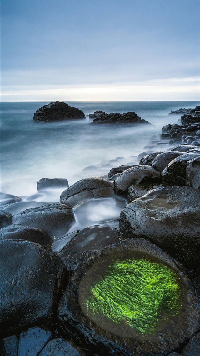 1290x2796 A rocky beach with green algae growing in the wate... -  iPhone Wallpaper