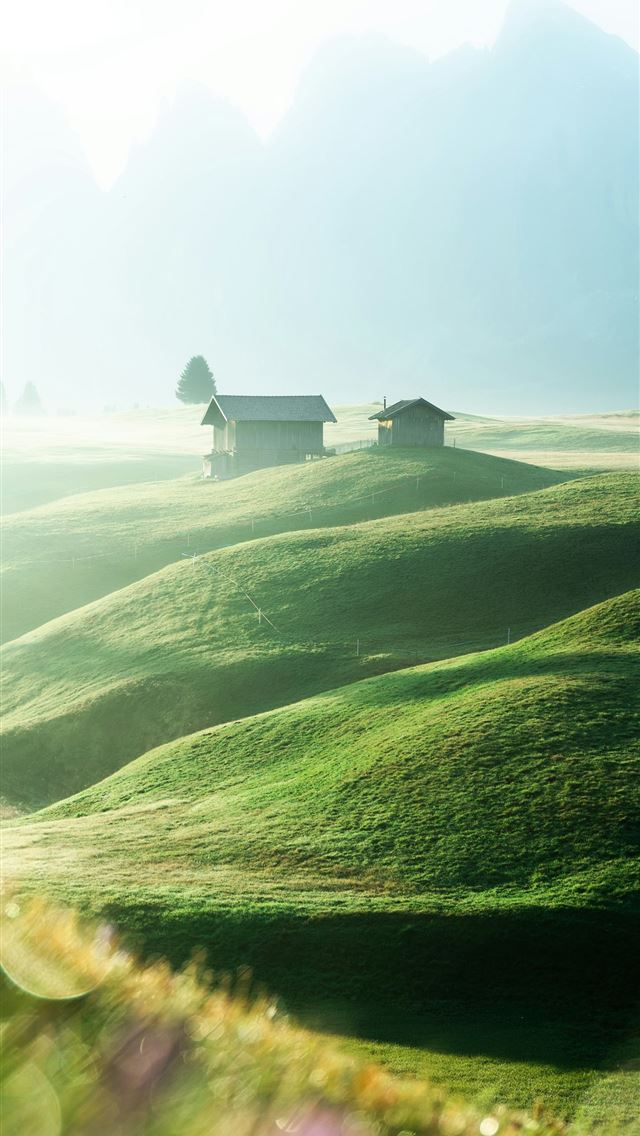 1290x2796 A green field with houses in the distance -  iPhone Wallpaper