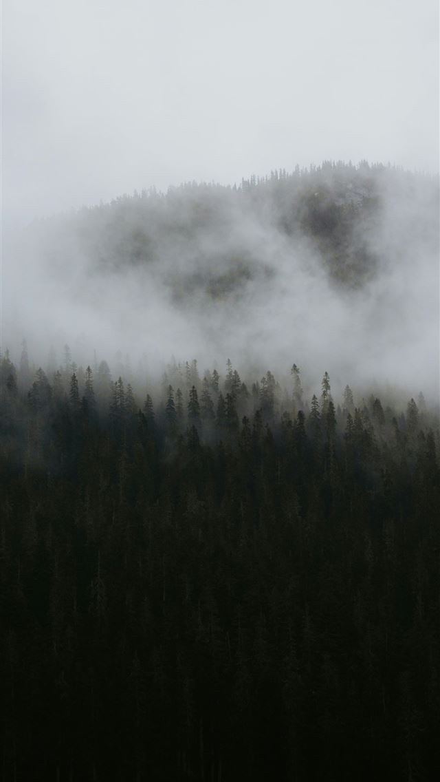 1290x2796 A mountain covered in fog and low lying clouds -  iPhone Wallpaper