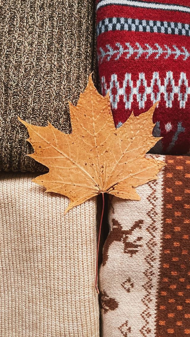 1290x2796 A maple leaf laying on a pile of sweaters -  iPhone Wallpaper