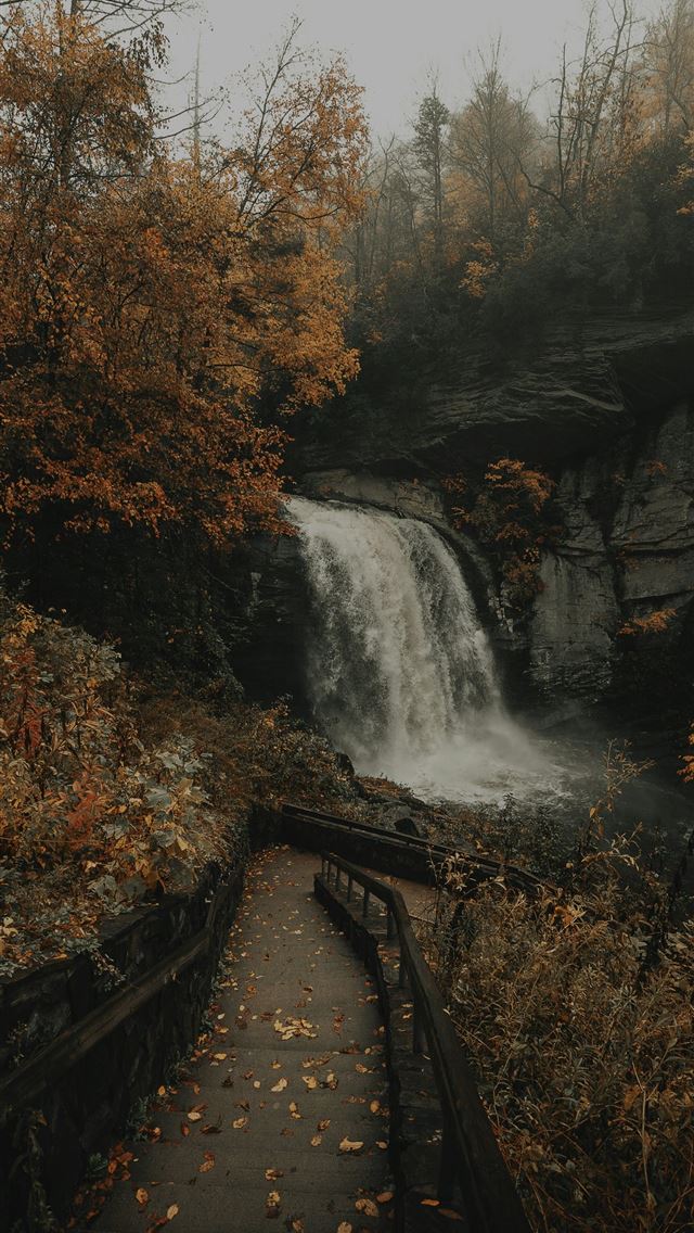 1290x2796 waterfalls under gray sky -  iphone 14 Wallpaper