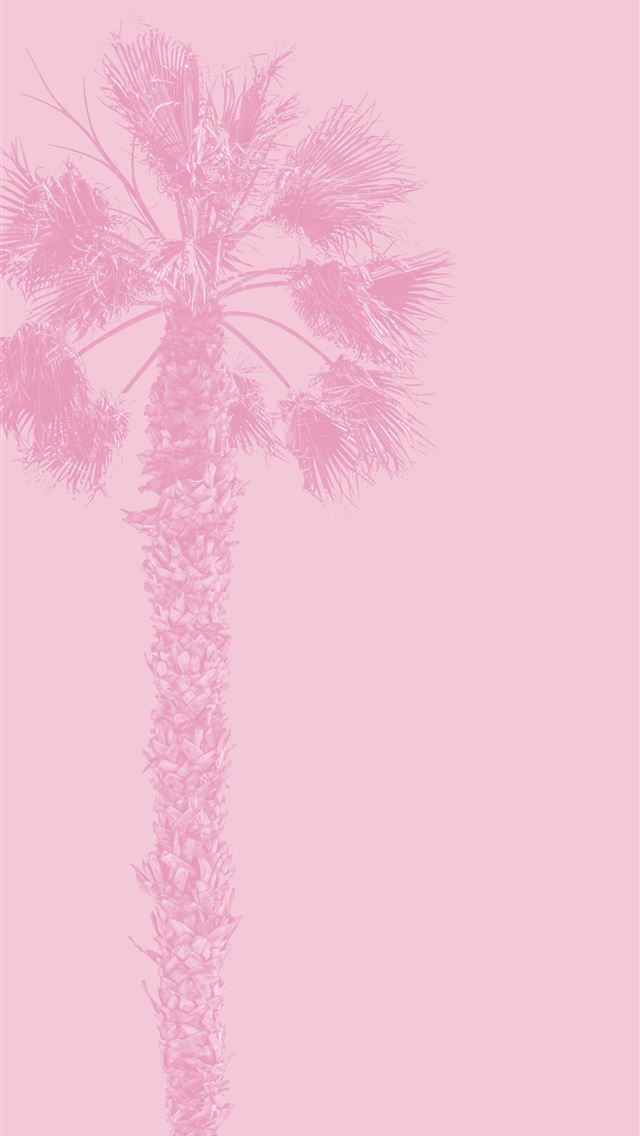 1290x2796 a pink palm tree against a pink background -  iPhone Wallpaper