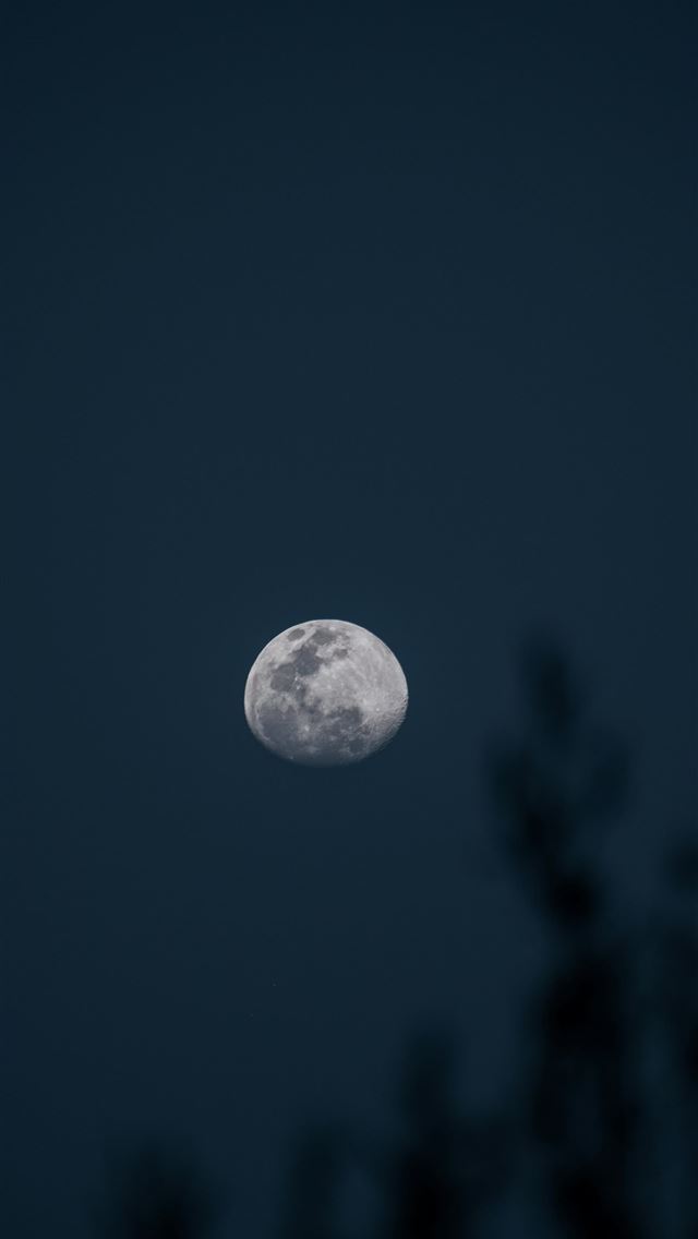 1290x2796 The moon hangs in the dark blue sky  -  iPhone Wallpaper