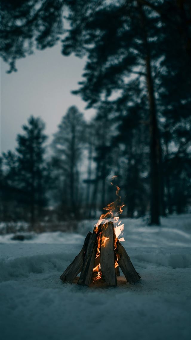 1290x2796 person in brown coat standing on snow covered grou... -  iPhone Wallpaper