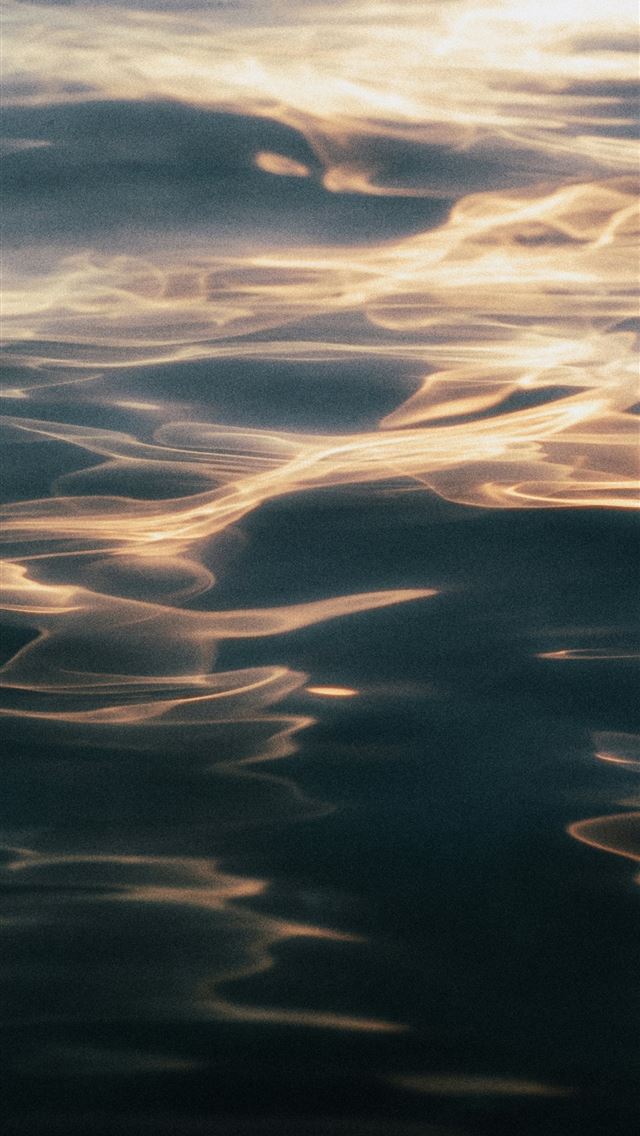 1290x2796 A bird flying over a body of water under a cloudy ... -  iPhone Wallpaper