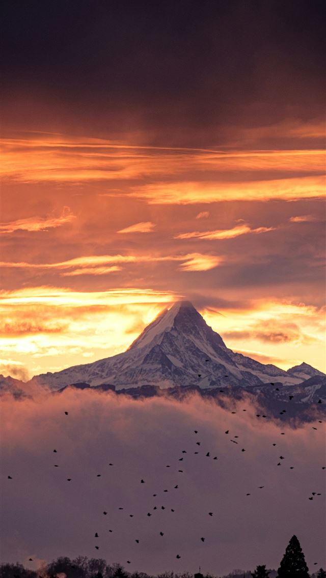1290x2796 a mountain covered in clouds and birds flying in t... -  iPhone Wallpaper