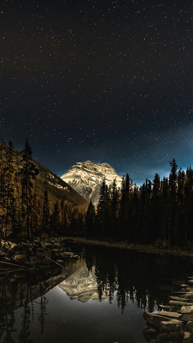 1290x2796 green pine trees near snow covered mountain during... -  iPhone Wallpaper