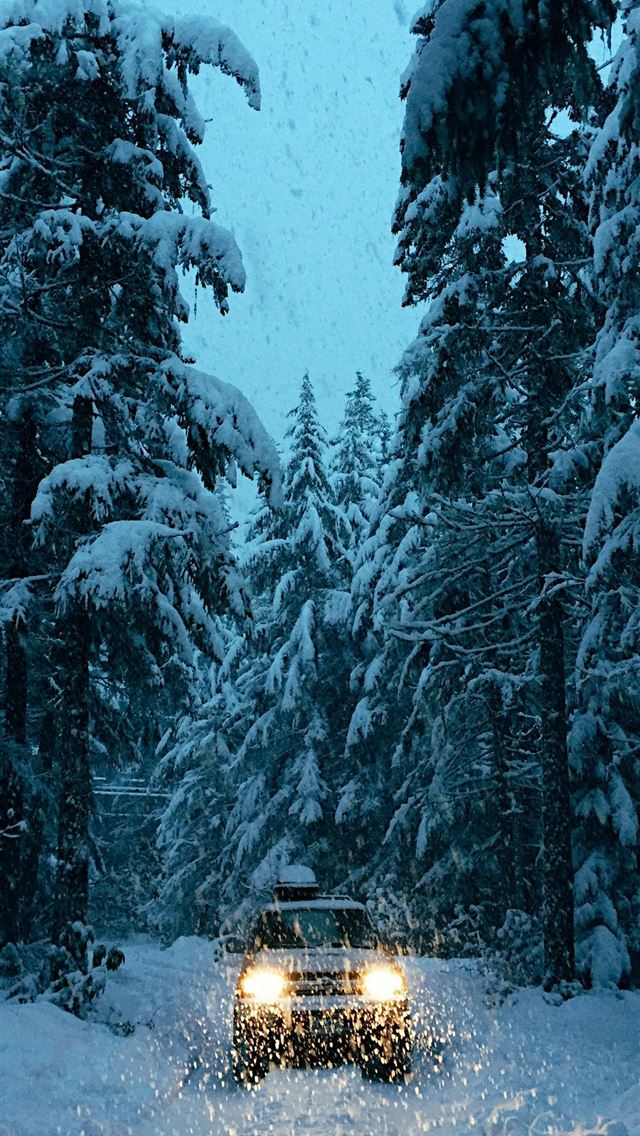 1290x2796 a car driving through a snow covered forest -  iPhone Wallpaper