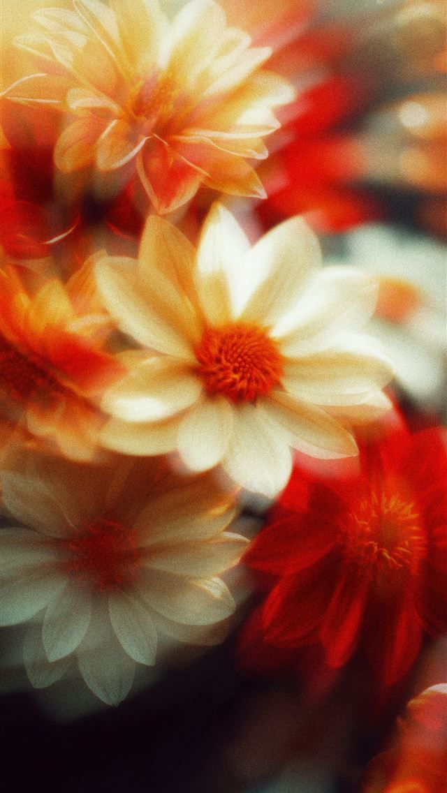 1290x2796 A blurry photo of flowers in a vase -  iPhone Wallpaper